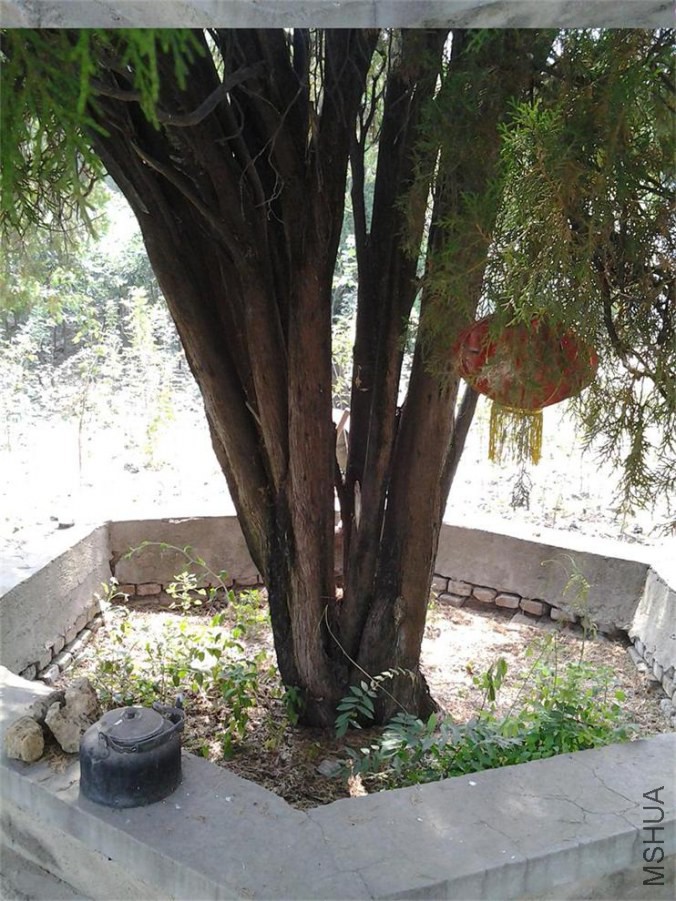 20140711_142213.jpg