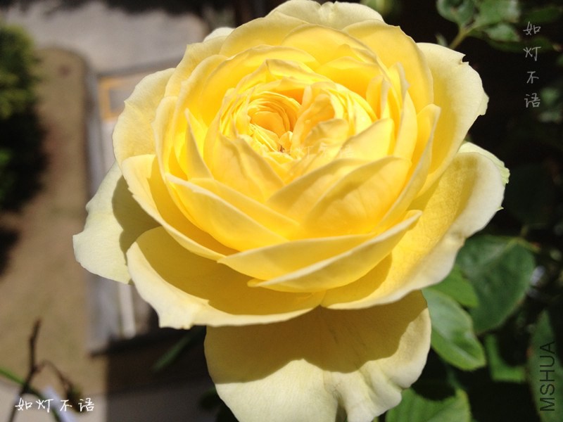 a001.jpg