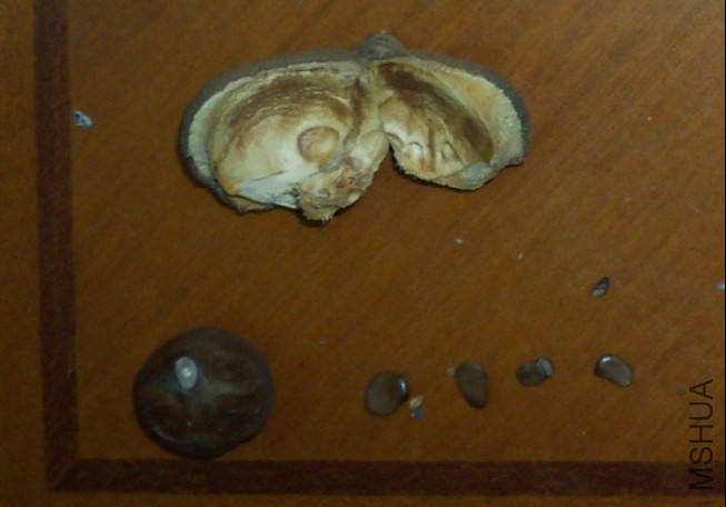 3�����ñ�����ʵһ����2012��10��9�գ�.jpg