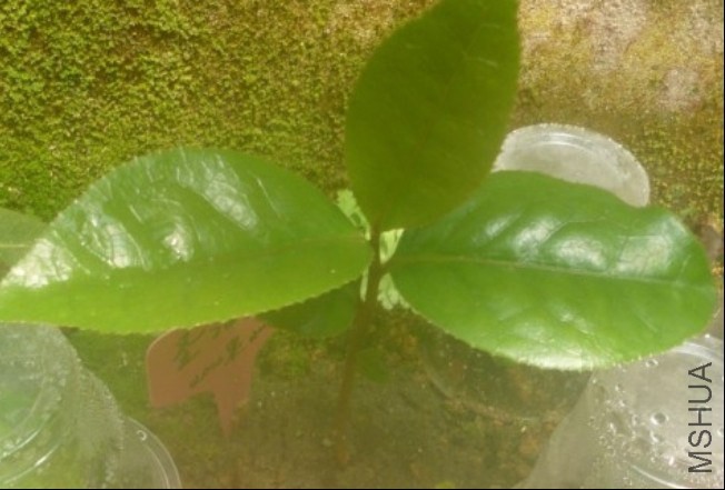 7��С�����-1(2013��4��30�� ).jpg
