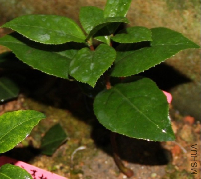 8��С�����-2(2013��10��19�� ).jpg