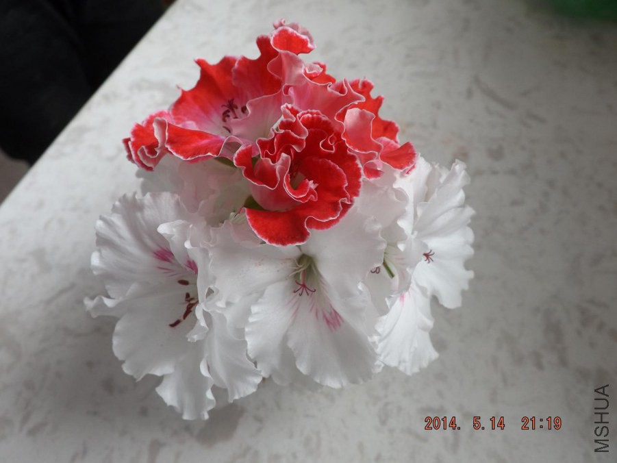 Ϊ�˳�����ʹ���µ�.JPG