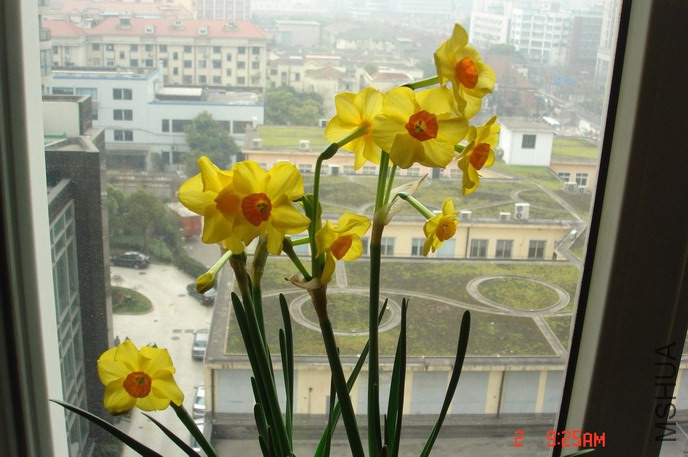 DSC03358.JPG