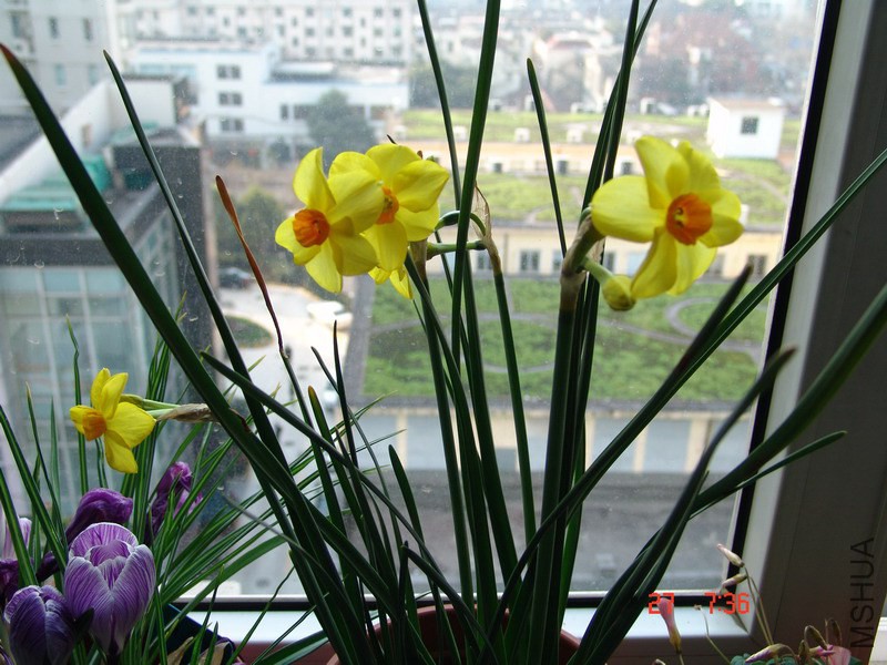 DSC07361.JPG