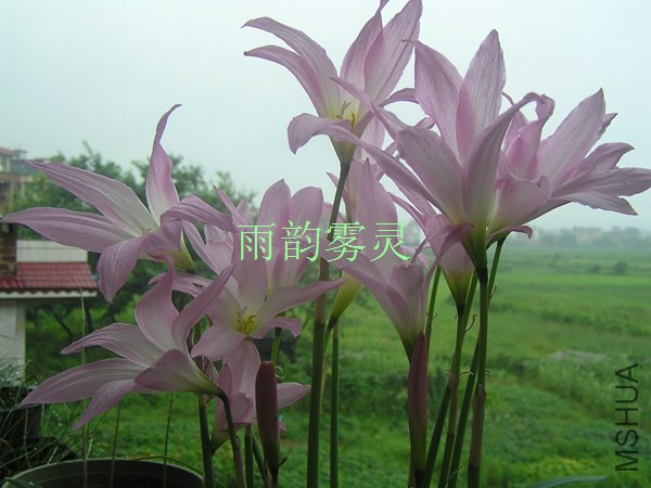 P10155550017 (1).jpg