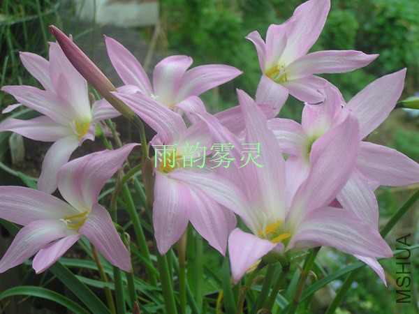 P10155550017 (2).jpg