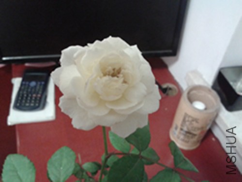 20140710_212930_����.jpg
