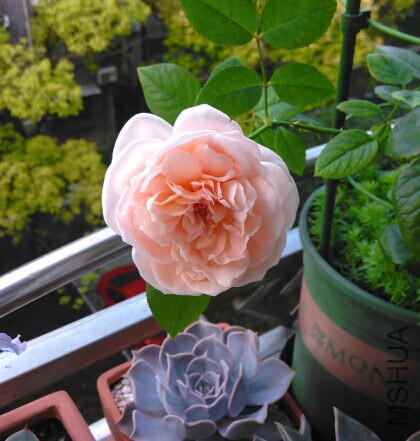 QQͼƬ20140714111520.jpg