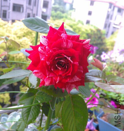 QQͼƬ20140714111658.jpg