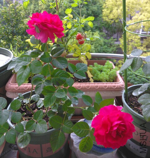 QQͼƬ20140714111731.jpg
