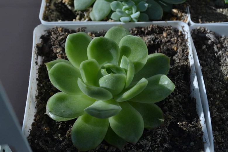 psb (5)_����.jpg