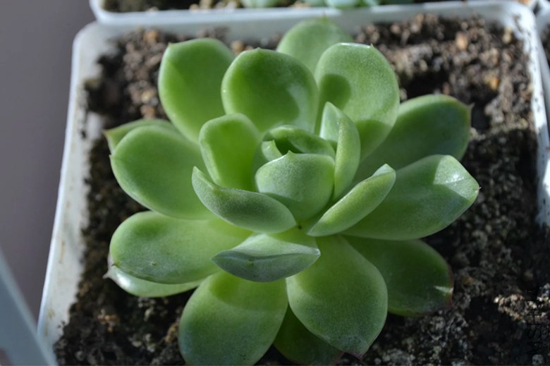 psb (6)_����.jpg