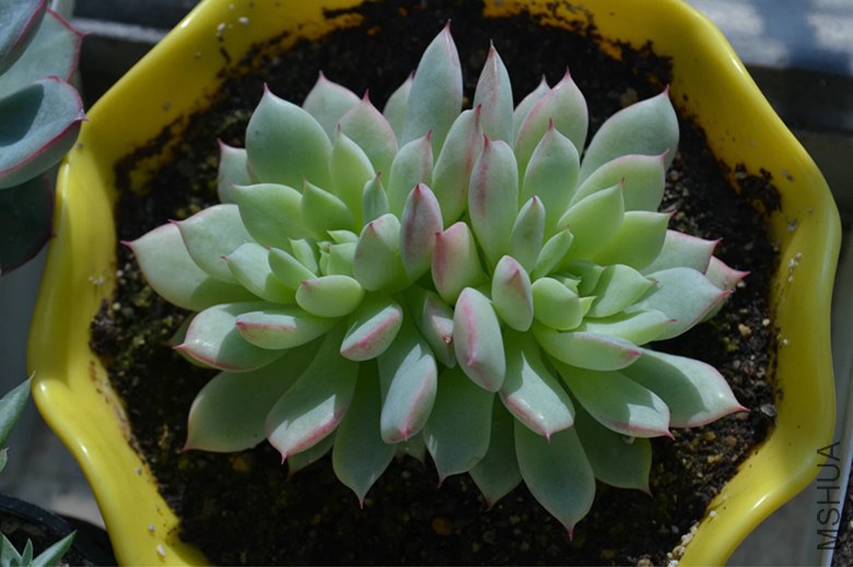psb (7)_����.jpg