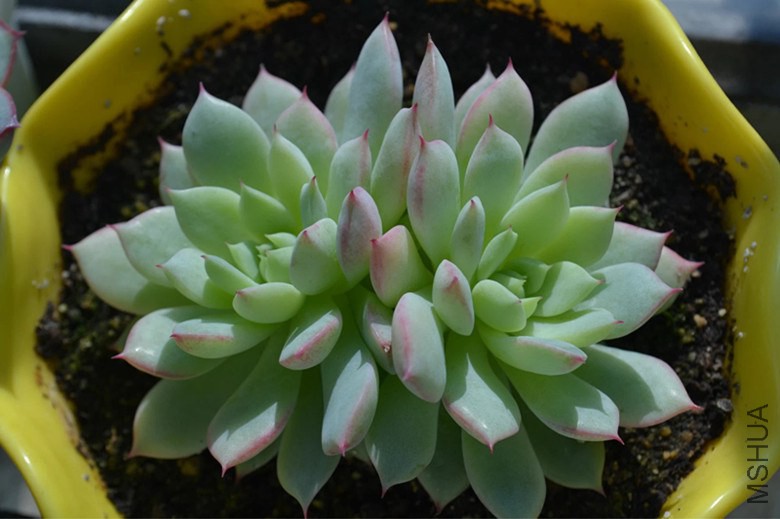psb (8)_����.jpg