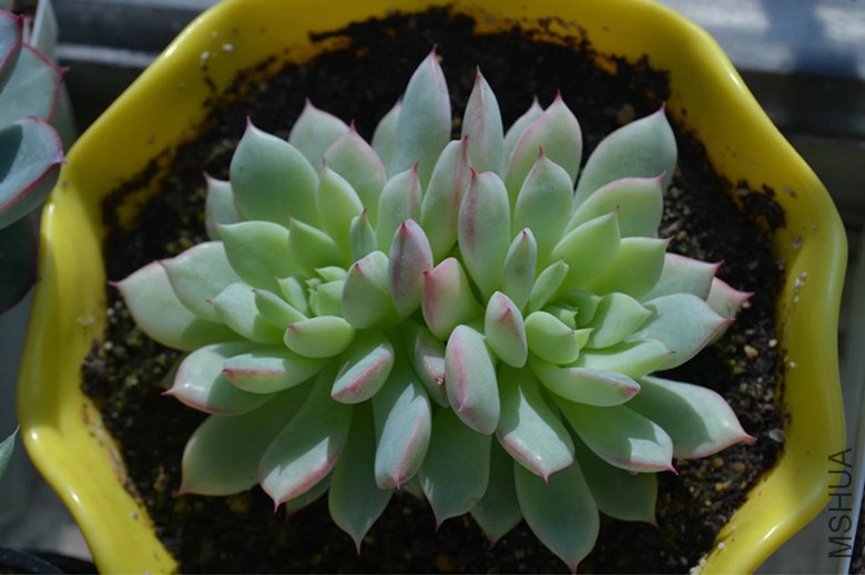 psb (9)_����.jpg