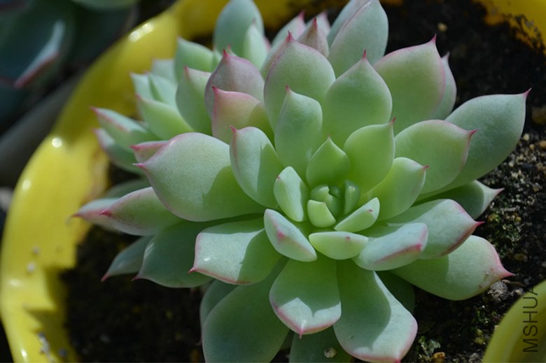 psb (10)_����.jpg