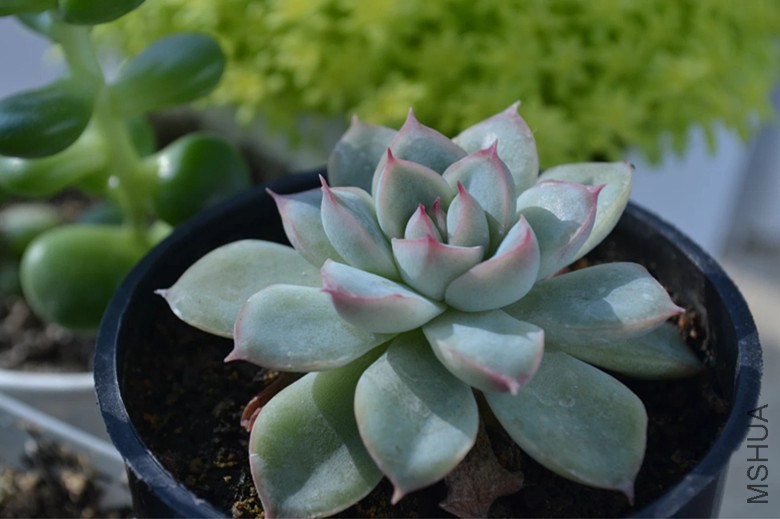 psb (12)_����.jpg
