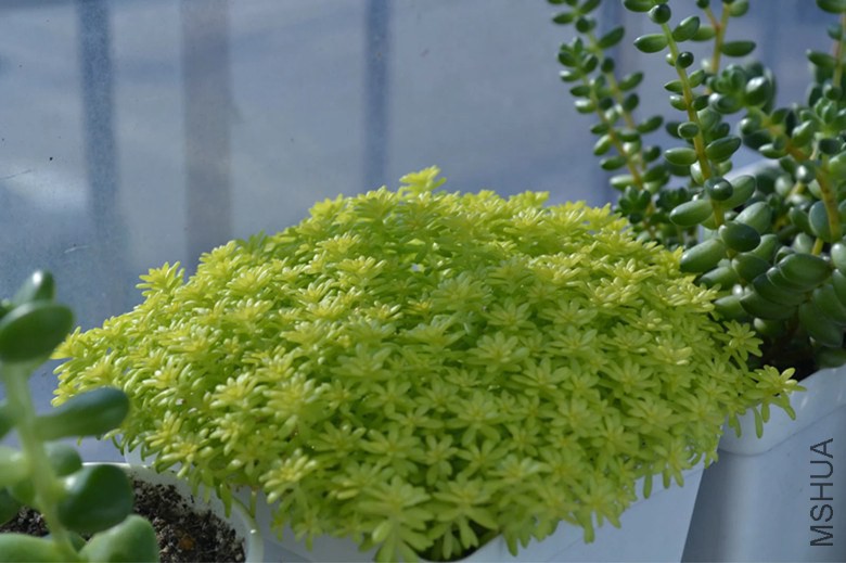psb (13)_����.jpg