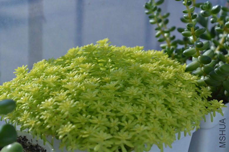 psb (14)_����.jpg
