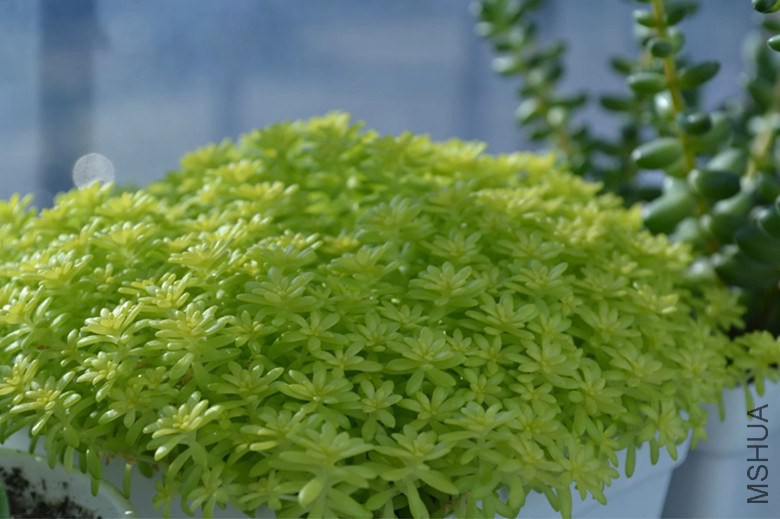 psb (15)_����.jpg