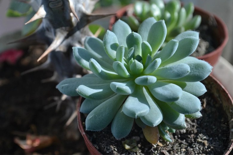 psb (16)_����.jpg