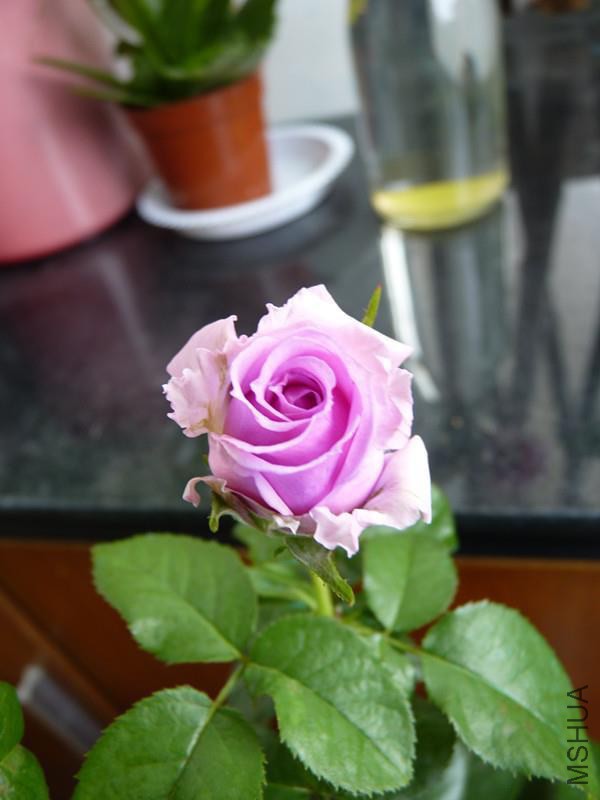 psb (13).jpg