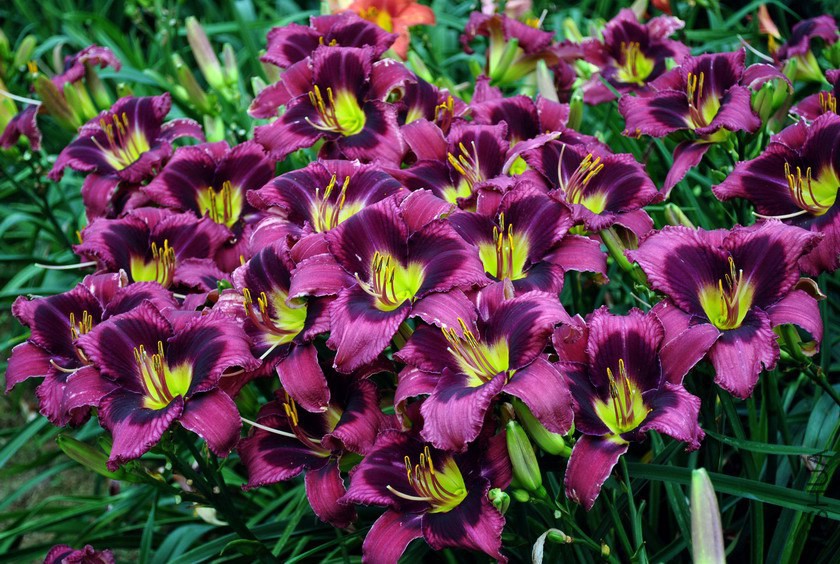 F1-500ħ��ˮ���� (41).jpg