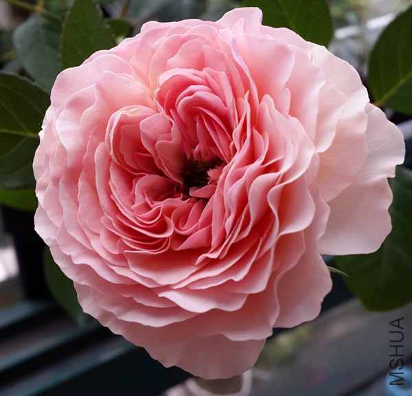 20140611_070902.jpg