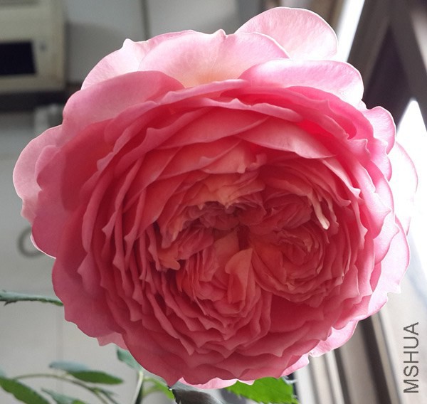 20140320_152131.jpg
