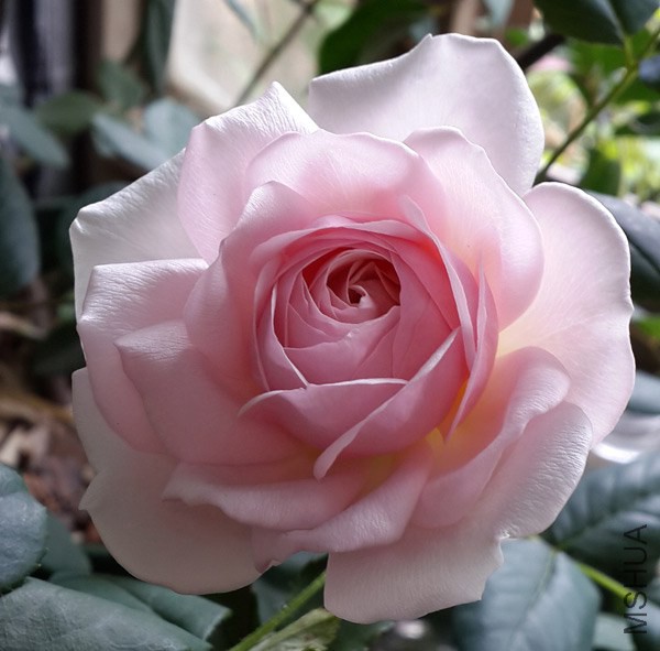 20140428_145333.jpg