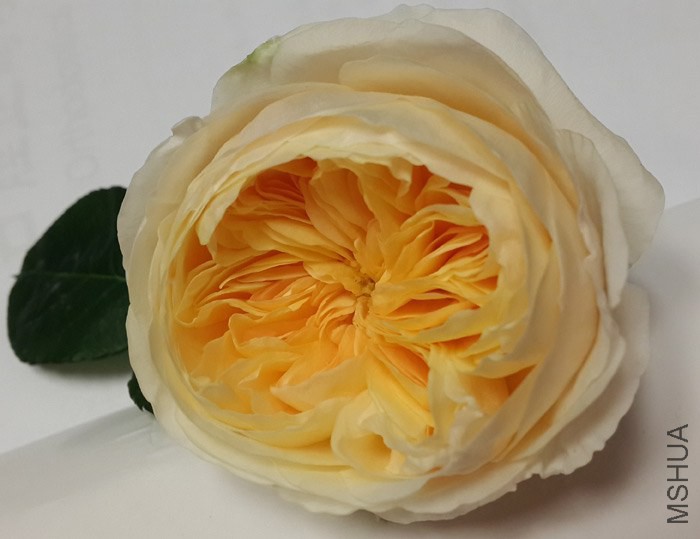 20140429_191717.jpg