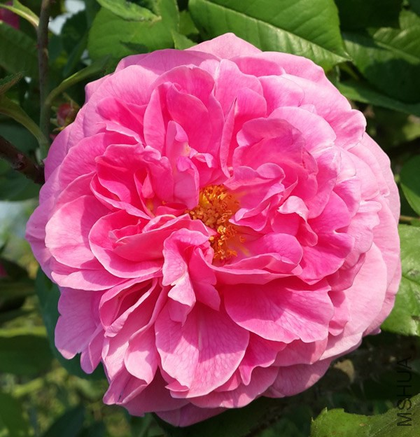 20140501_165347.jpg