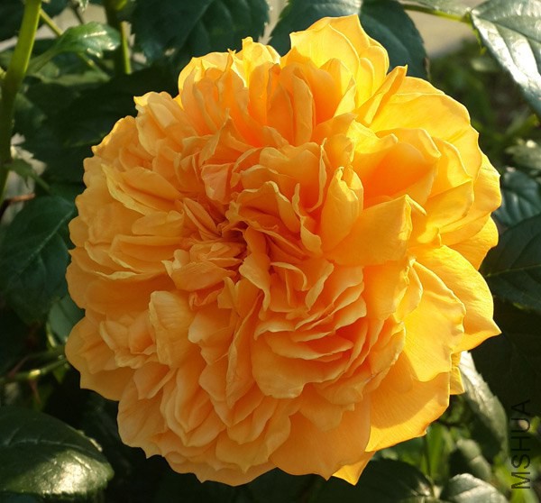 20140501_165651.jpg