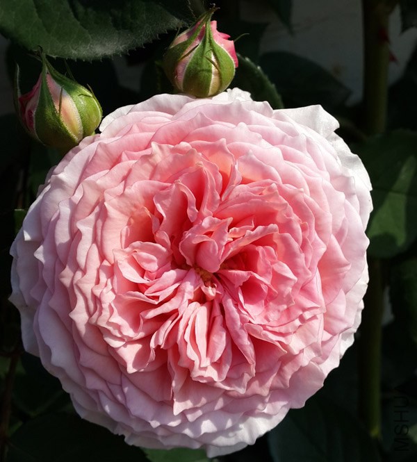 20140502_082843.jpg