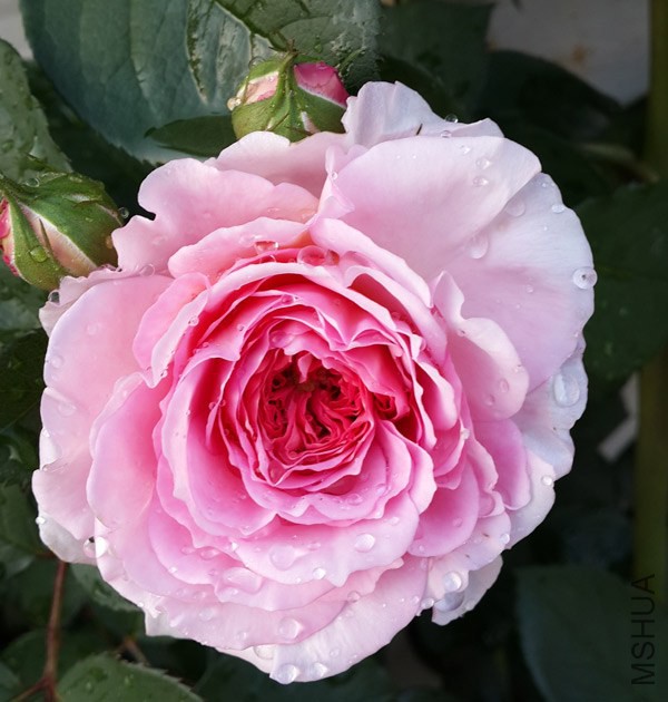 20140501_172407.jpg