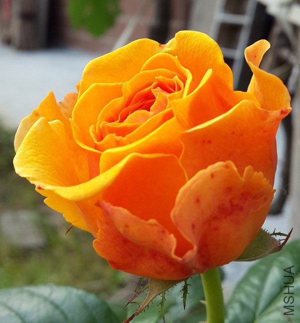 20140503_082433.jpg