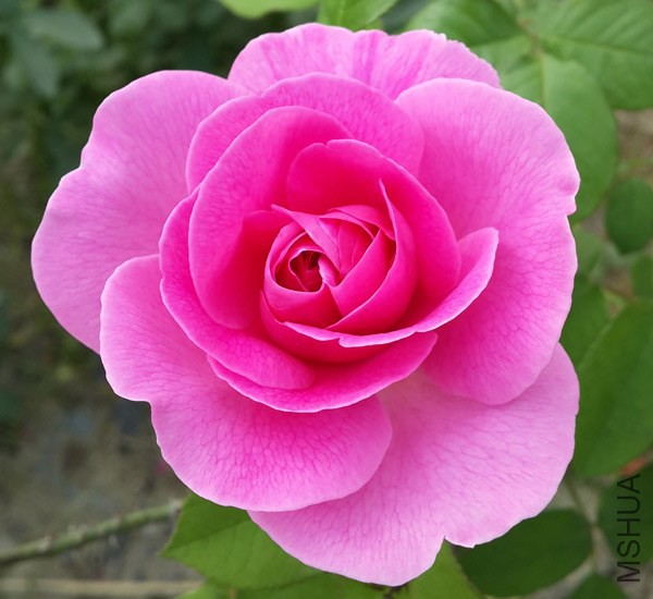 20140503_082157.jpg