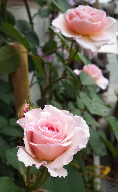 20140503_102015.jpg