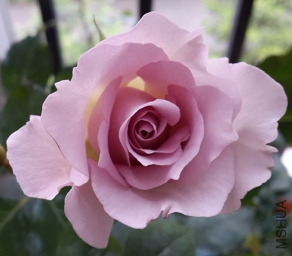 20140504_072201.jpg