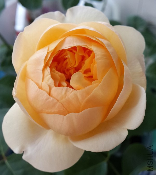 20140613_073256.jpg