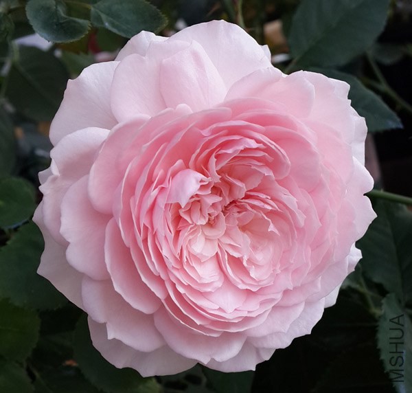 20140613_073215.jpg