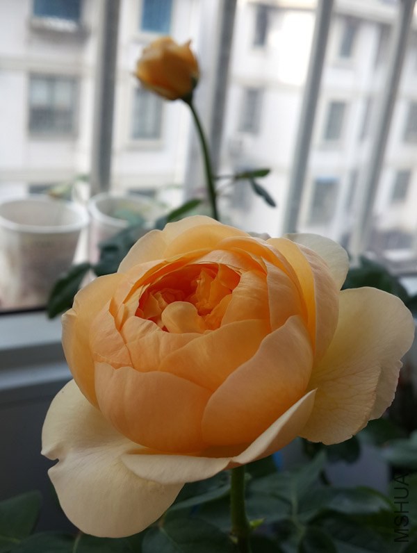 20140613_073336.jpg