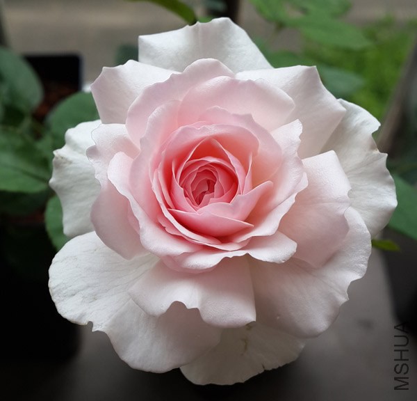 20140714_070347.jpg