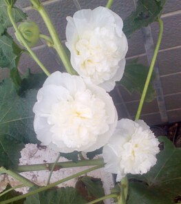 QQ��ͼ20140715104147.jpg