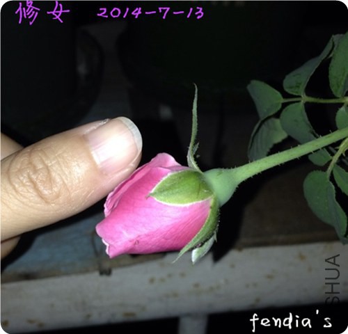 ��Ů140713.JPG