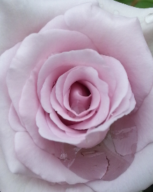 20140712_100542_mh1405401731196.jpg
