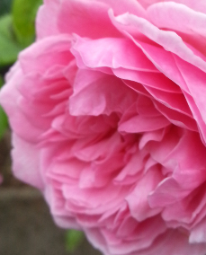 20140625_080748_mh1405401912481.jpg