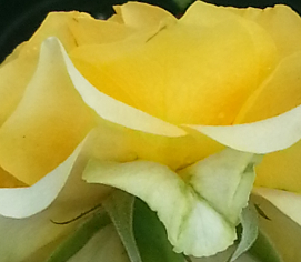 20140521_083258_mh1405420533895.jpg