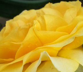 20140521_083136_mh1405420620590.jpg