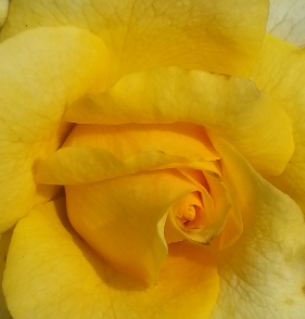 20140524_101429_mh1405420701218.jpg